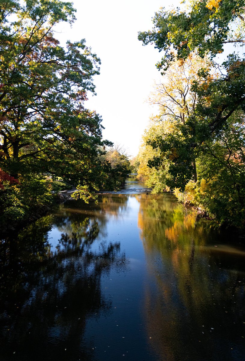 MSU_Football's tweet photo. Fall in East Lansing 😍🍁 https://t.co/t6pHluskyh