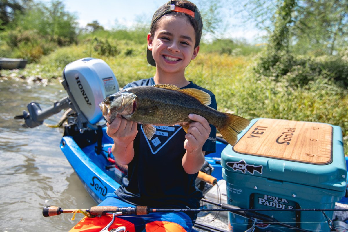 SeaDek Redirect tweet media