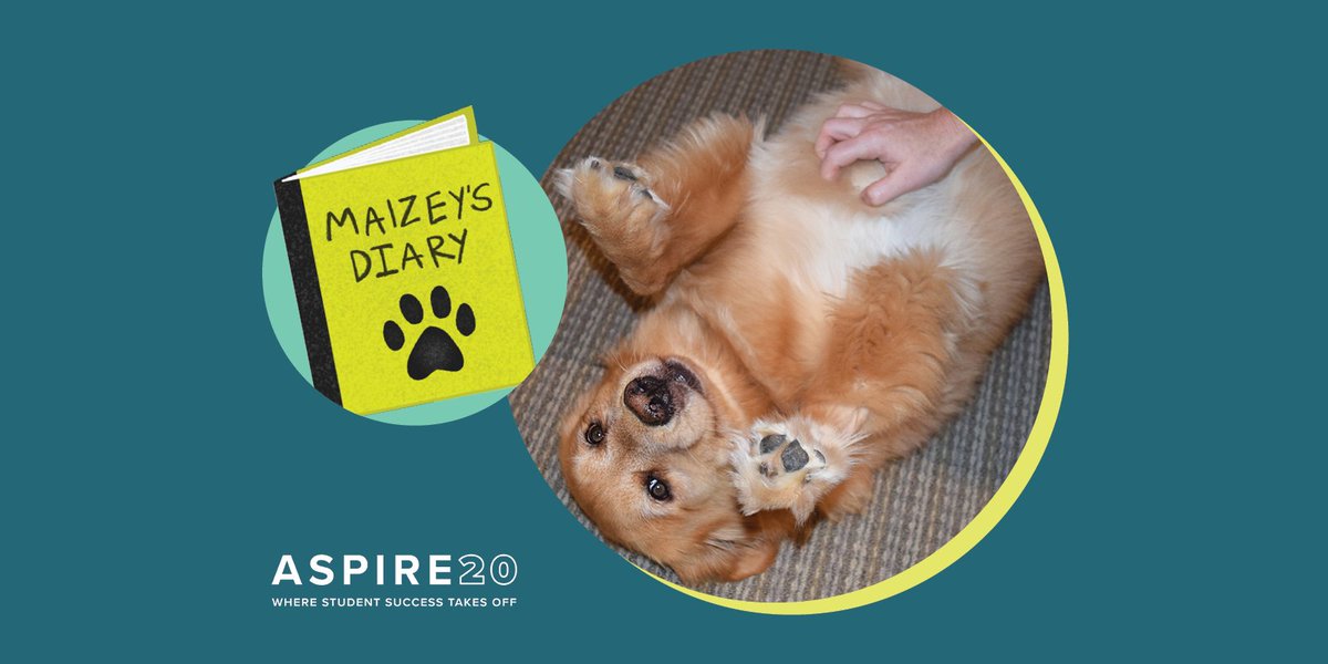 "Dear diary, we're one week from #Aspire20, and I can't wait to see all my friends through the screen. I have the development team working on the 'virtual belly rubs' initiative. Though I'm confident in their abilities, this might have them stumped. Anyway, bark to you later." 🐾