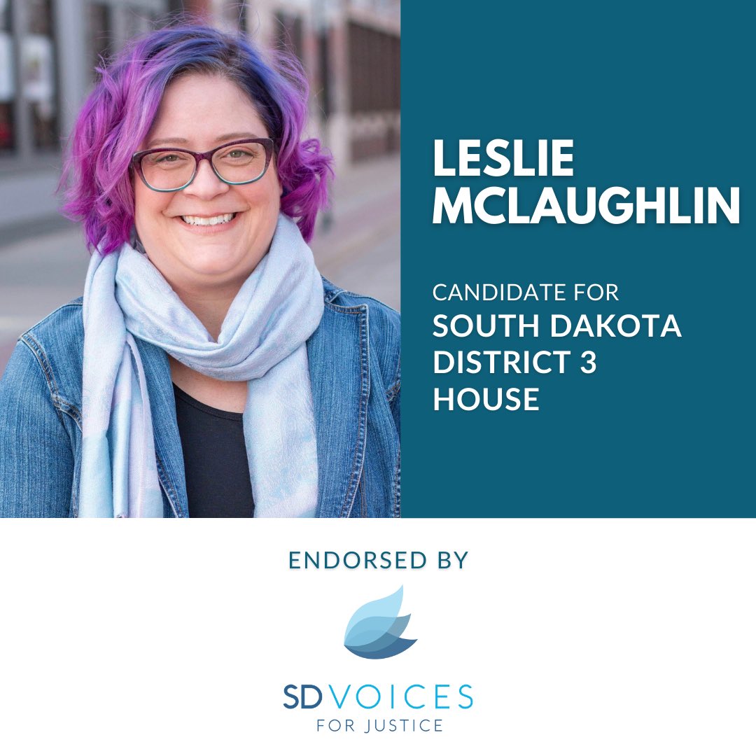 Leslie McLaughlin for District 3 House