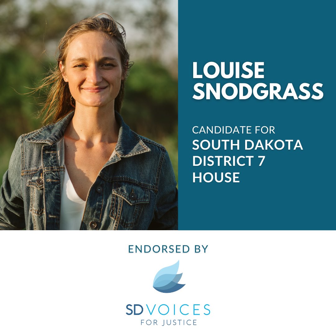 Louise Snodgrass for District 7 House  @lou4sd