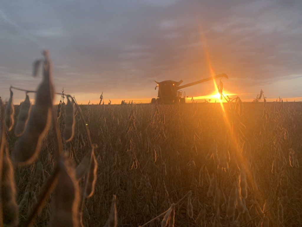 farmer_matt97's tweet photo. Happy #NationalFarmersDay https://t.co/Guv5tk8Wcc