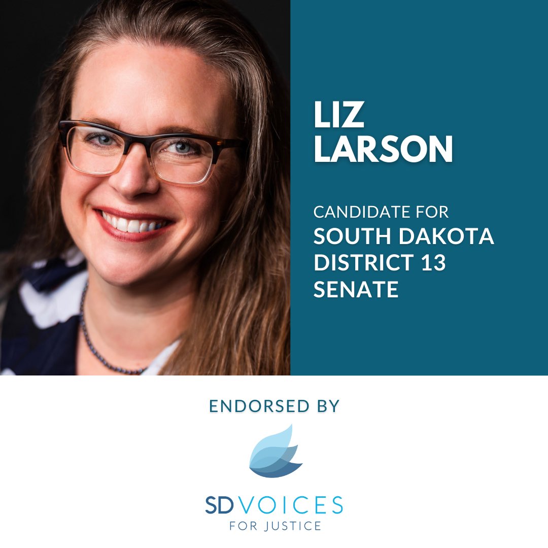 Liz Larson for District 13 Senate