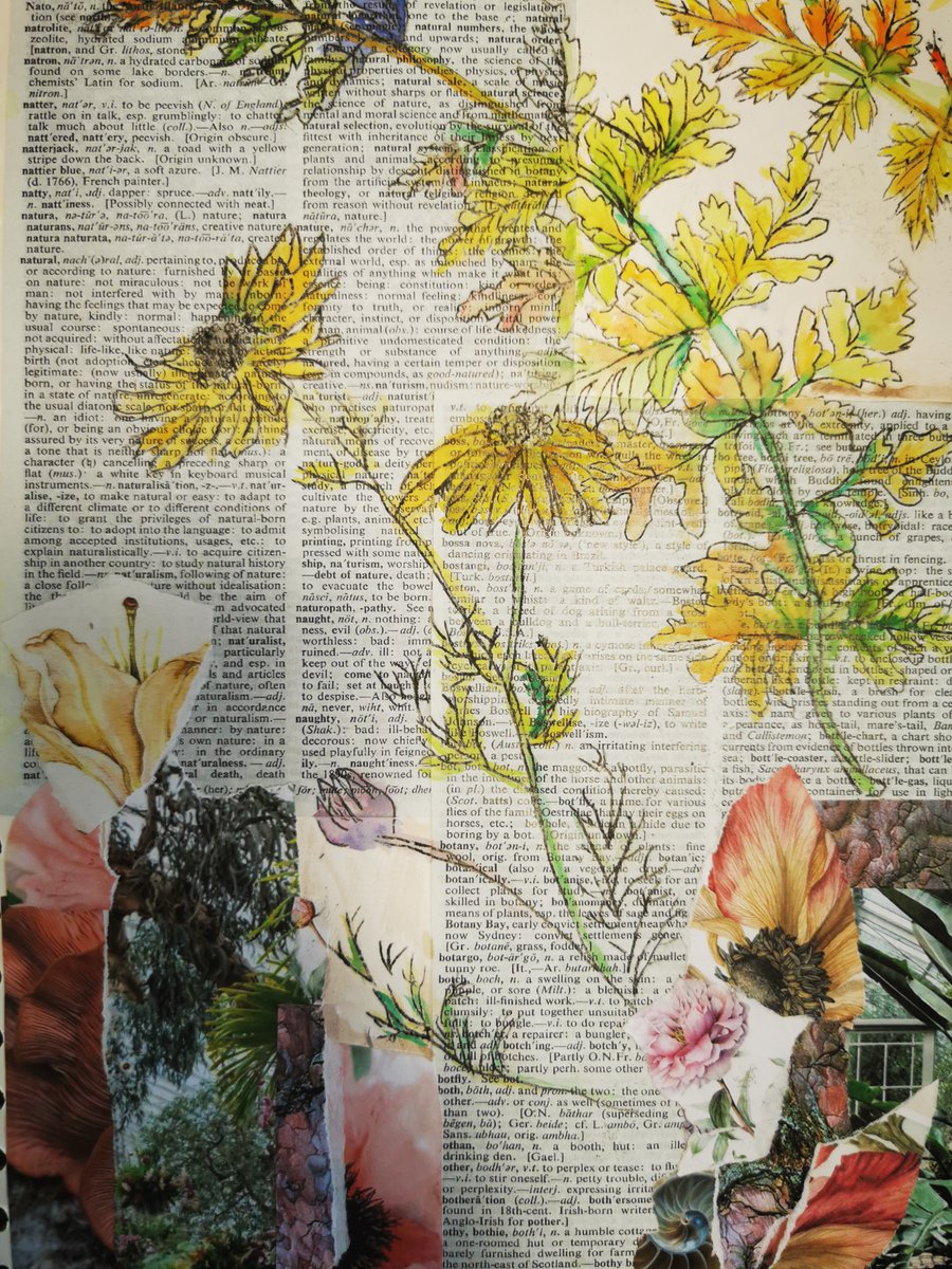 KPHS_Art's tweet photo. Some fantastic work from our Year 10 Art Textiles students. Mixed media title pages for their new "Botanicals" project. Well Done Nayema, Casey and Jessika, beautiful examples and a great start. @KPHS_Rochdale #art #botanticals #mixedmediaart #watercolours #arttextiles #gcseart https://t.co/q5LuVPdR6a