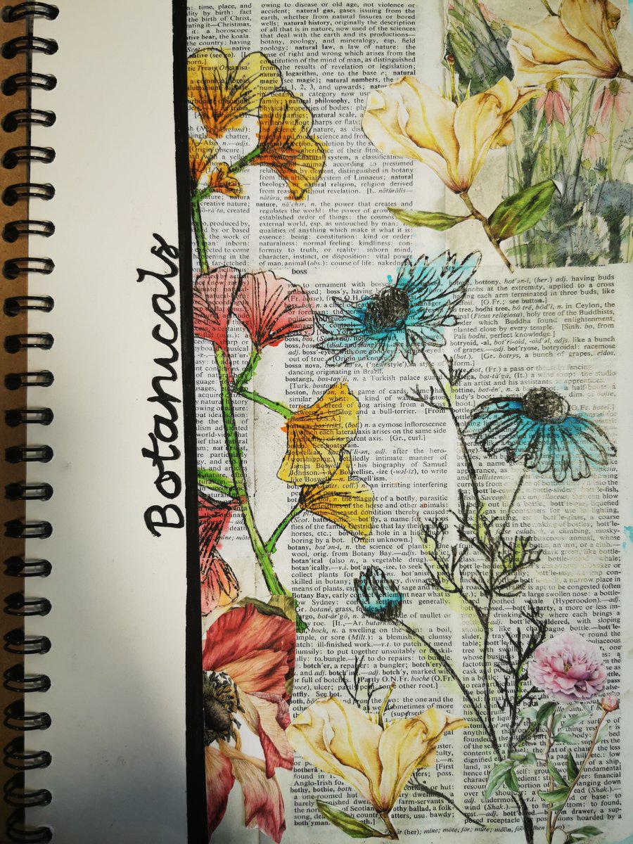 KPHS_Art's tweet photo. Some fantastic work from our Year 10 Art Textiles students. Mixed media title pages for their new "Botanicals" project. Well Done Nayema, Casey and Jessika, beautiful examples and a great start. @KPHS_Rochdale #art #botanticals #mixedmediaart #watercolours #arttextiles #gcseart https://t.co/q5LuVPdR6a
