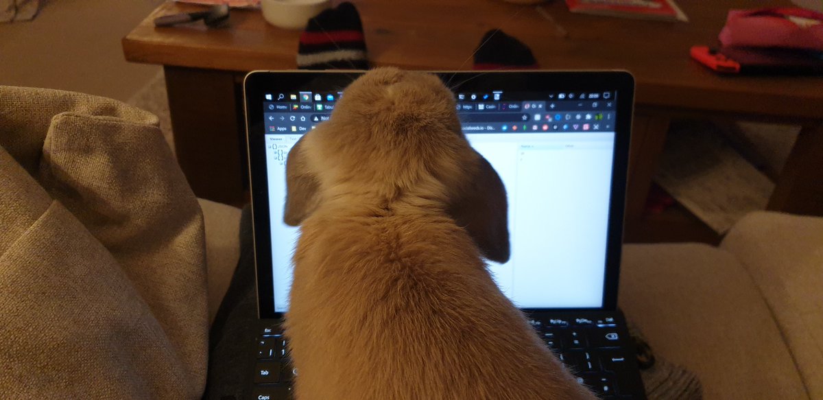 zimmo121's tweet image. Code review going on, I got a one paw approval :)