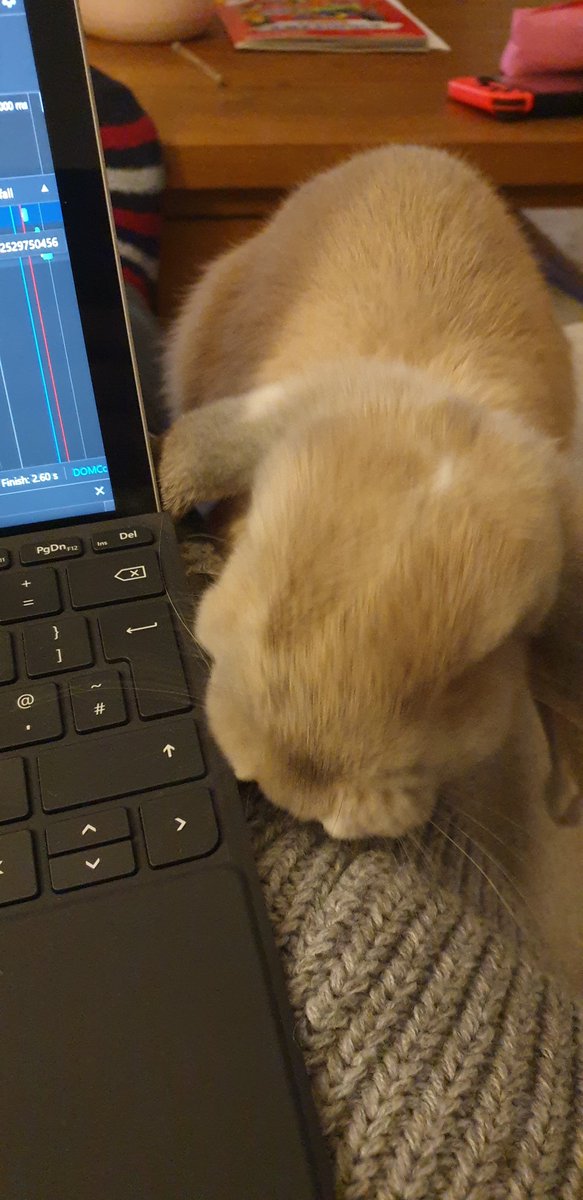 zimmo121's tweet image. Code review going on, I got a one paw approval :)