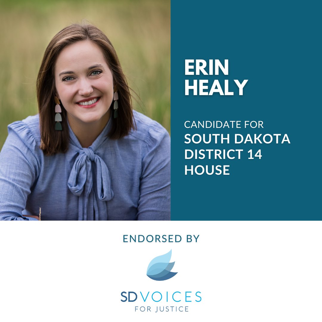 Erin Healy for District 14 House