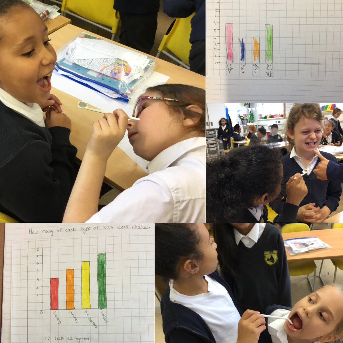 RFitzroyAcademy's tweet photo. Hands on activities solidify prior knowledge and reinforce future learning, that’s why #caribclass examined how many and what types of teeth they have which later was presented using bar charts. #year4 #burpsbottomsandbile @cornerstonesedu #primaryscience #stem https://t.co/dgrBlKbo1d
