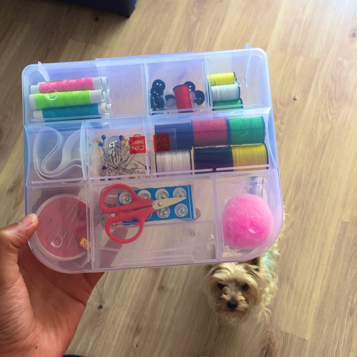 KarlaGilMar's tweet photo. Un paso más al señorismo. Nomas me falta pasarlo a una caja de galletas de navidad y empezaré a ser Doña Karla. https://t.co/4P6i5hYNEO