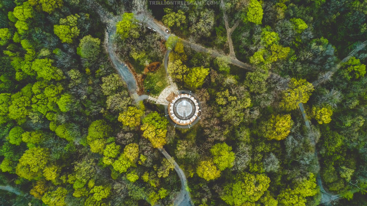 TrillionTrees_'s tweet photo. The Trillion Trees Game project started in late summer 2020 and the game development will start in winter 2021. #biodiversity #conservation #environmental #forestgame #games #greening #reforestation #trilliontrees #videogame @TrillionTreesIn https://t.co/P7c9ZnLzIk
