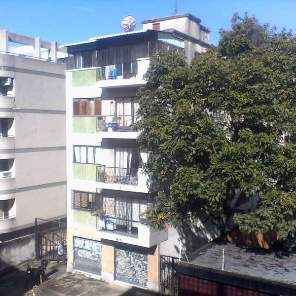 zulbeamarts's tweet image. Recien parida la tienen día y noche amarrada , pasa todo el día en el sol sin tener donde refugiarse la pobre lo que hace es llorar y ladrar sín  parar Av Manuel Felipe Tovar, Edif Mario  piso 4 apartamento da para la calle como se puede constatar en las en las fotos.Difundir!