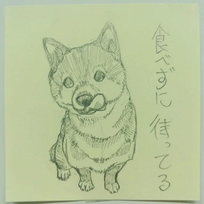 最近絵を上げられていない。
大分前に作ろうと思い中止した犬スタンプのメモを上げて場を繋ごう。 