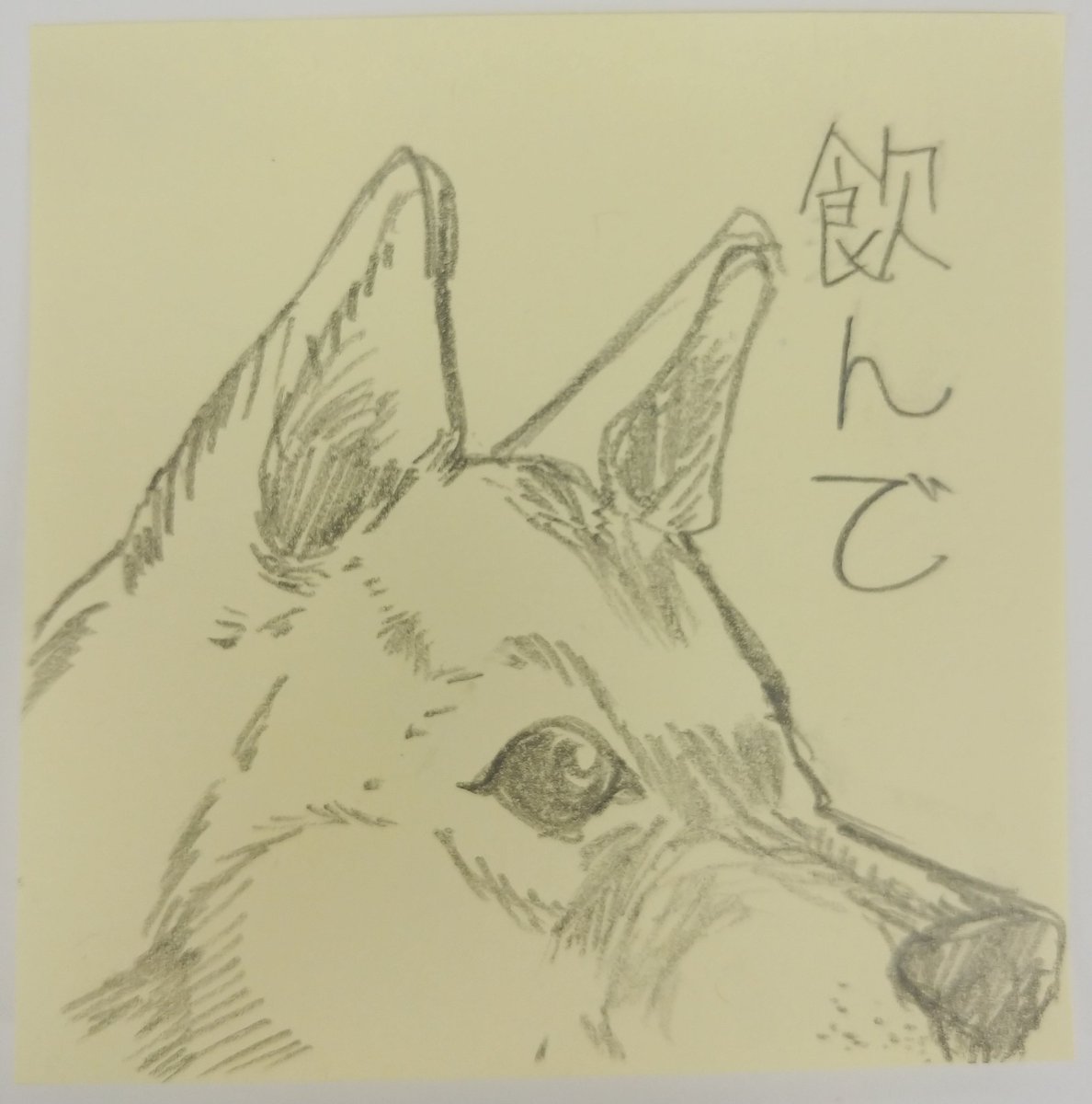 最近絵を上げられていない。
大分前に作ろうと思い中止した犬スタンプのメモを上げて場を繋ごう。 