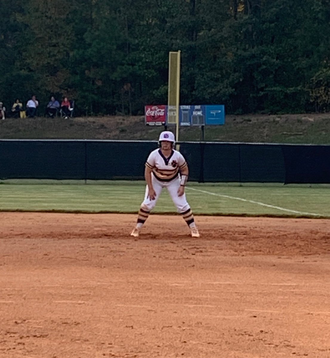 emilee scara tweet media