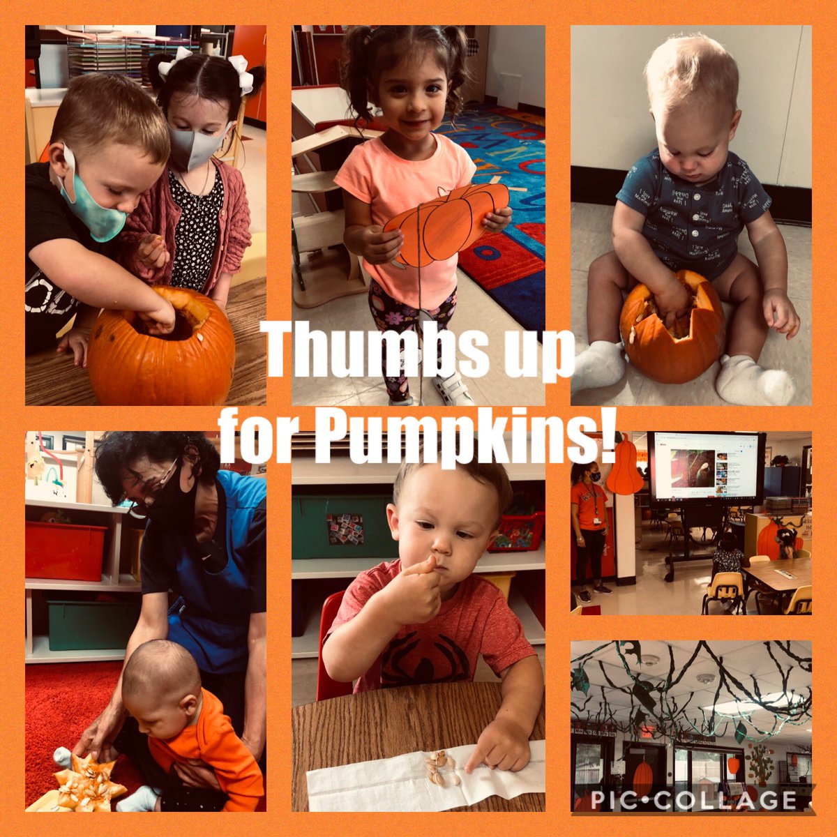 CFISDELC2's tweet photo. It’s Pumpkin Week at the ELC’s! Oh my Gourd look what we did! @CFISDELCS #pumpkins # fun #CFISDspirit https://t.co/uO6ocSvX6K
