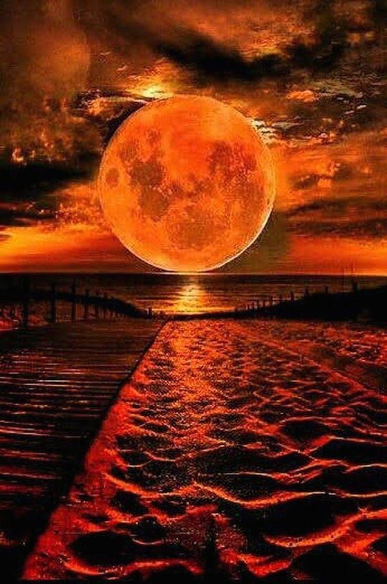 🌖🌕🌔🌖🌕🌔🌖🌕🌔🌖🌕🌔🌖🌕🌔🌖🌕🌔🌖🌕🌔🌖🌕🌔