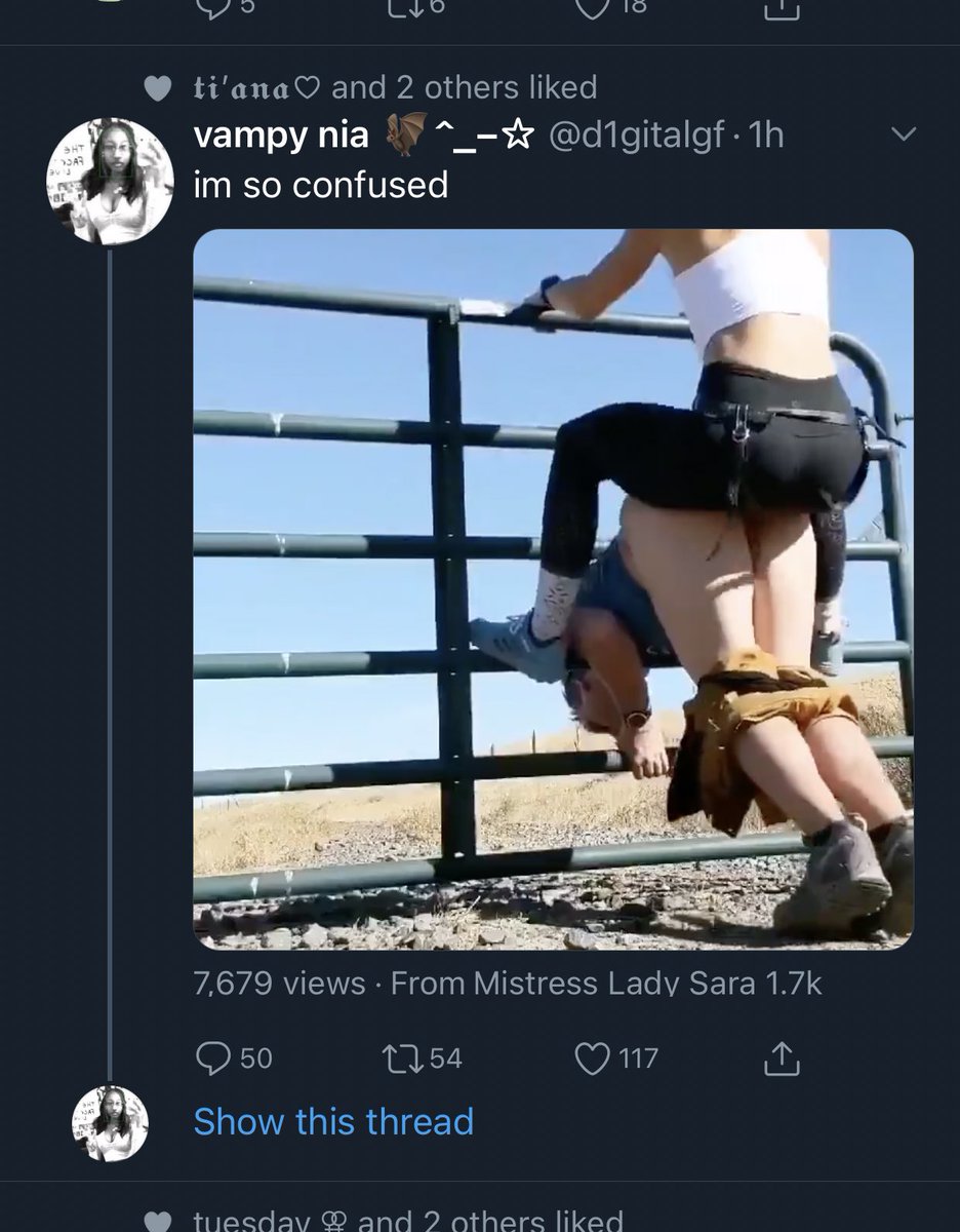 CAT 🐄 tweet media