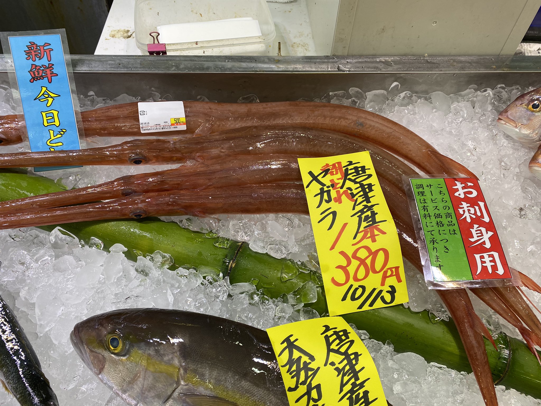 マリンセンターおさかな村 公式 続いてこちらの珍しいお魚 ヤガラ でございます 朝どれで大変新鮮でございます そのため刺身 用として販売しております もちろん刺身でも美味しいですし お吸い物などしていただいたり とても上品なお魚でござい