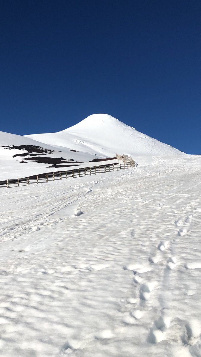 crorisaint's tweet photo. Hoy conocí el volcán Osorno y a un zorrito 🥰🥰 https://t.co/OTeRf8gVCh