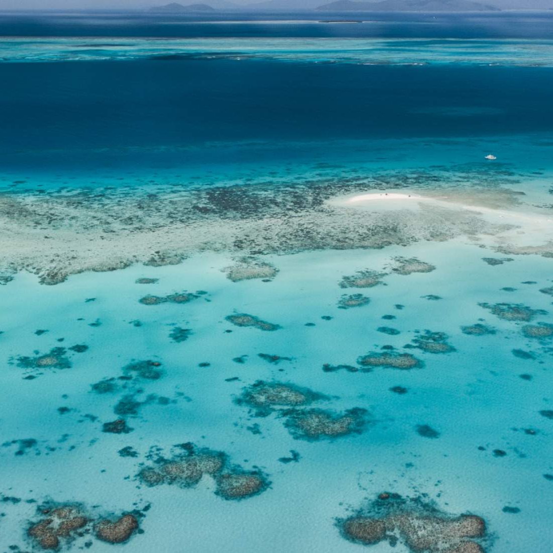 Cairns &amp; Great Barrier Reef is known for its breathtaking landscapes and unique wildlife, but wander off the beaten track and you’ll find something even greater.

Read this to discover where you could go: bit.ly/3lxtBPm