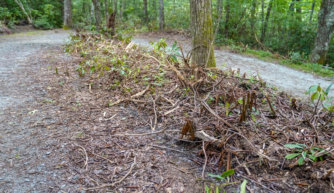 Recent Headlines @ Blowing Rock News conta.cc/34RQWod