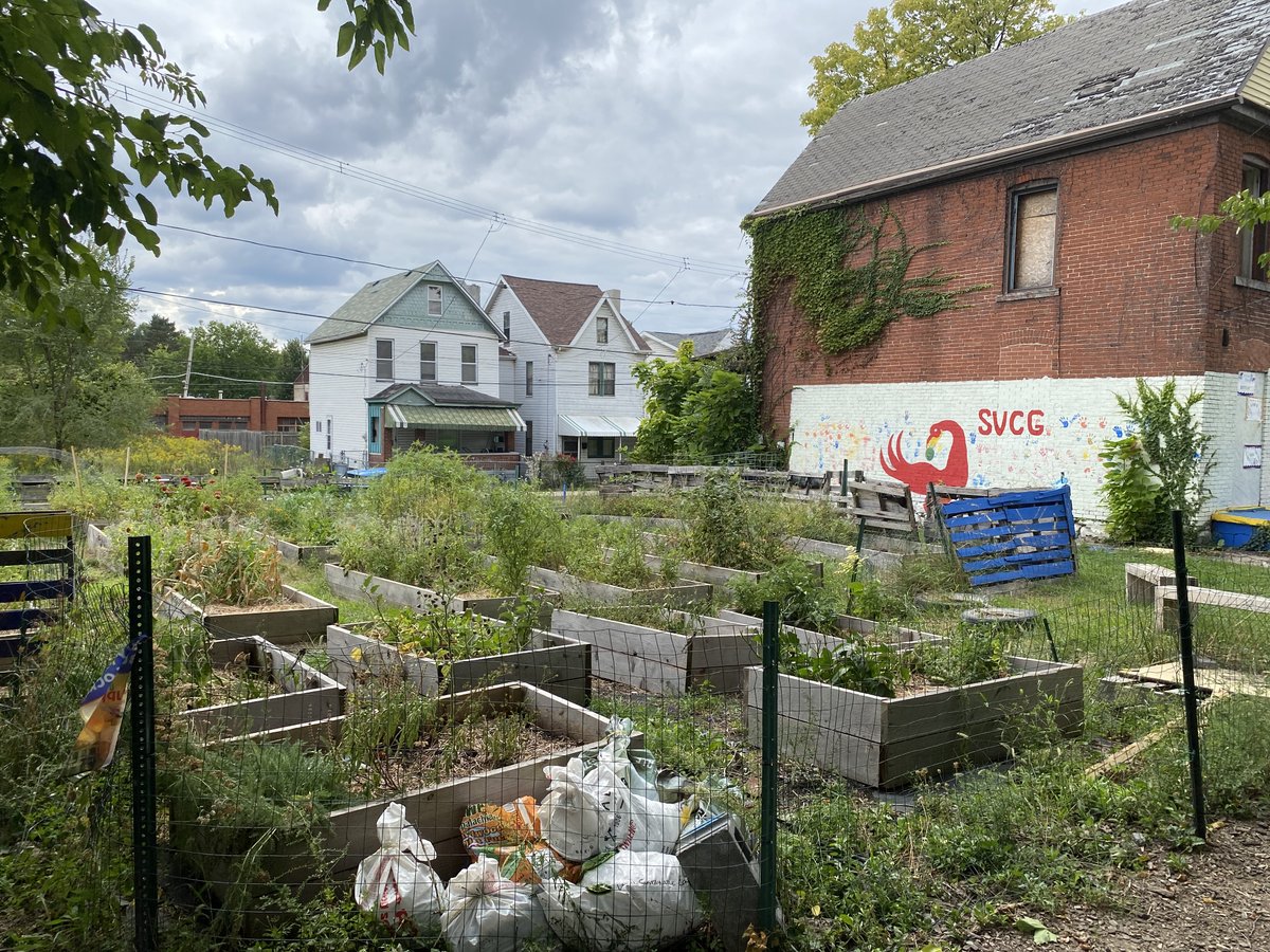 Across the street from an abandoned lot in Pittsburgh’s Homewood neighborhood, a community garden planted and worked by teenagers has produced:TomatoesCornPeppersEggplantWatermelonMint https://trib.al/EyXok6f 