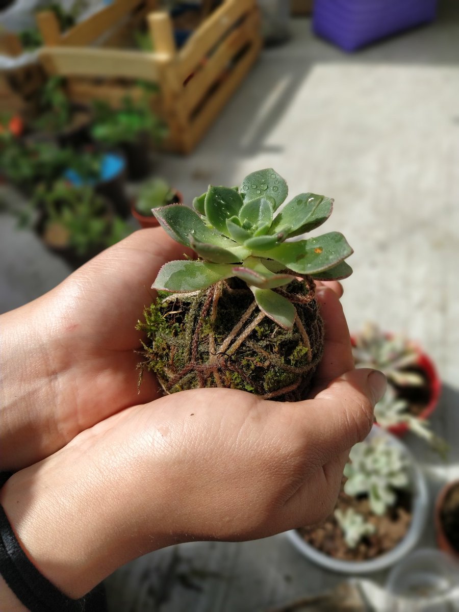 ValTerra tweet media