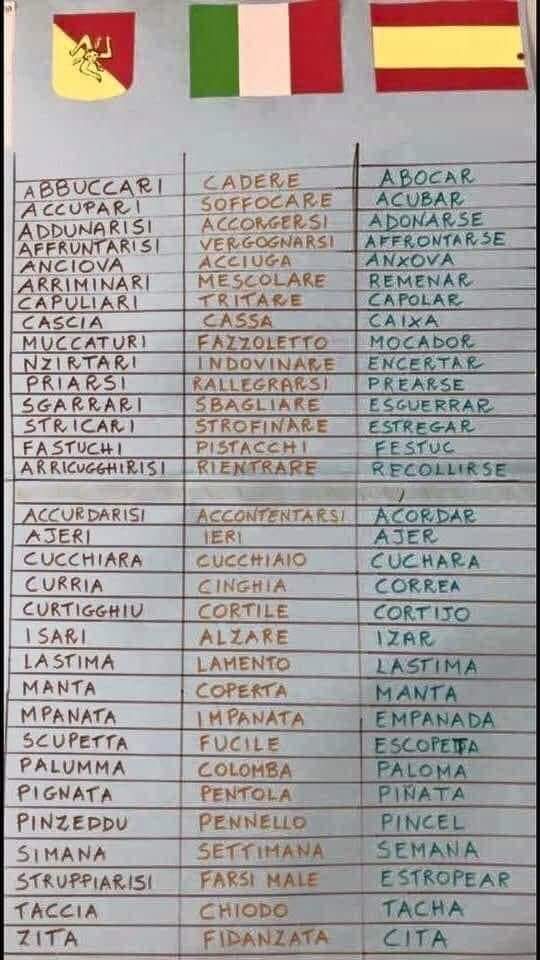mirai_rakko's tweet photo. I love that Sicilian dialect and Spanish are the same language https://t.co/MjPFNEPoeA