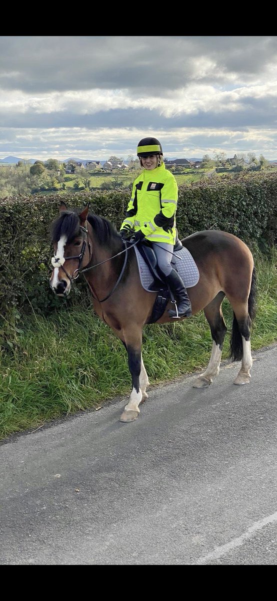carol199's tweet photo. #MyLittlePony looking very small...or is she just very far away?? 🤔 #Roxy #WeePony #ShortLegsBigPersonality #Hillsborough #SundayHacks https://t.co/usEr3Py3Lq