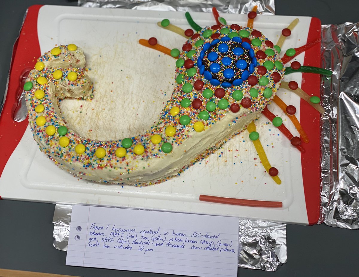 Jenni’s  thank you cake for the lab. Multi-talented and even has lysosomes and a scale bar!
