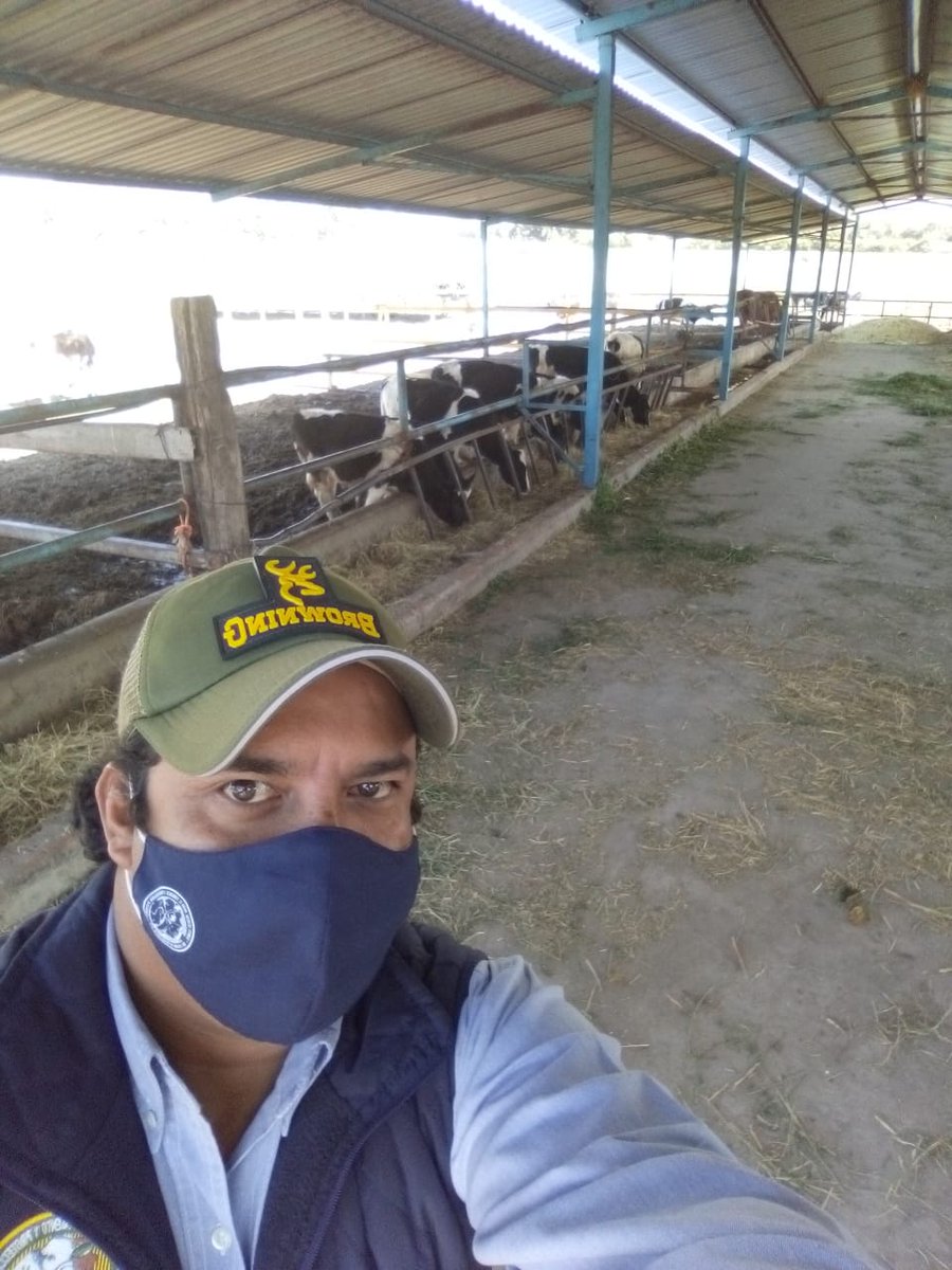 cefppegto's tweet photo. Seguimos trabajando en el Comité Estatal para el Fomento y Protec. Pecuaria del Estado de Guanajuato AC https://t.co/Qw6HIOaOT0