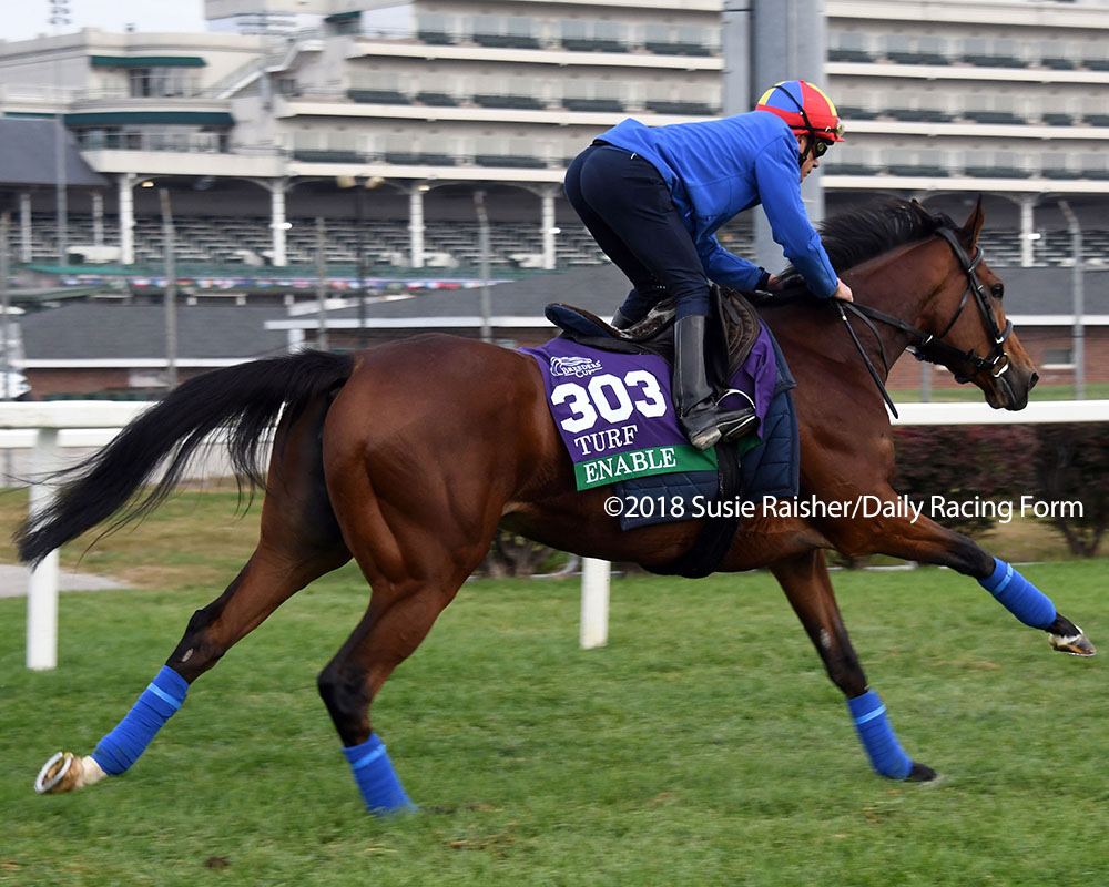 ponyace's tweet photo. Enable arrived at Churchill Downs for #BC18 a couple days before I did. My first morning seeing the then 6-time G1 winner was Oct. 31. It was also the first morning that @FrankieDettori was in town to get on her as they geared up for the Turf. https://t.co/20YqPjYvri