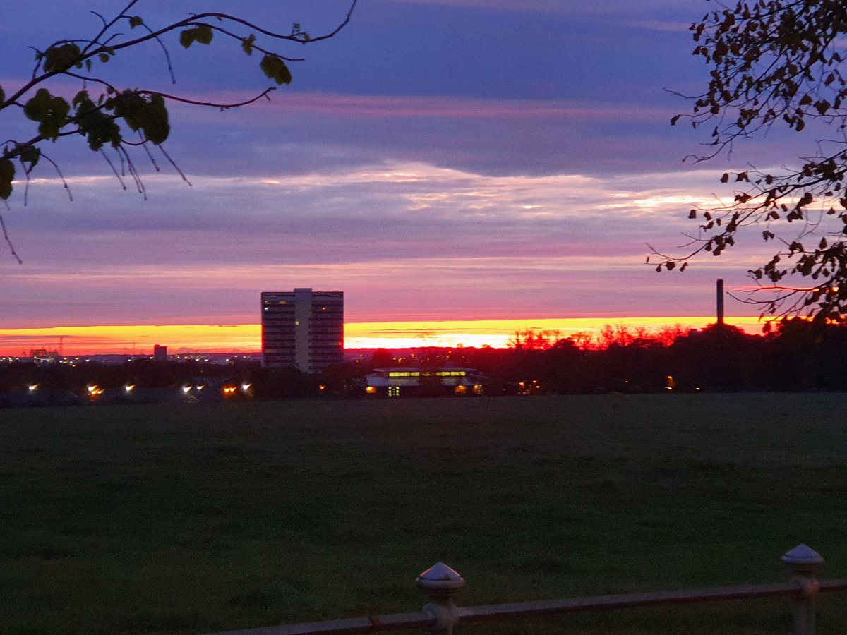 Celine McLoughlin tweet media