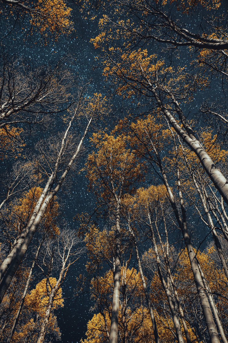 Bryan Minear tweet media