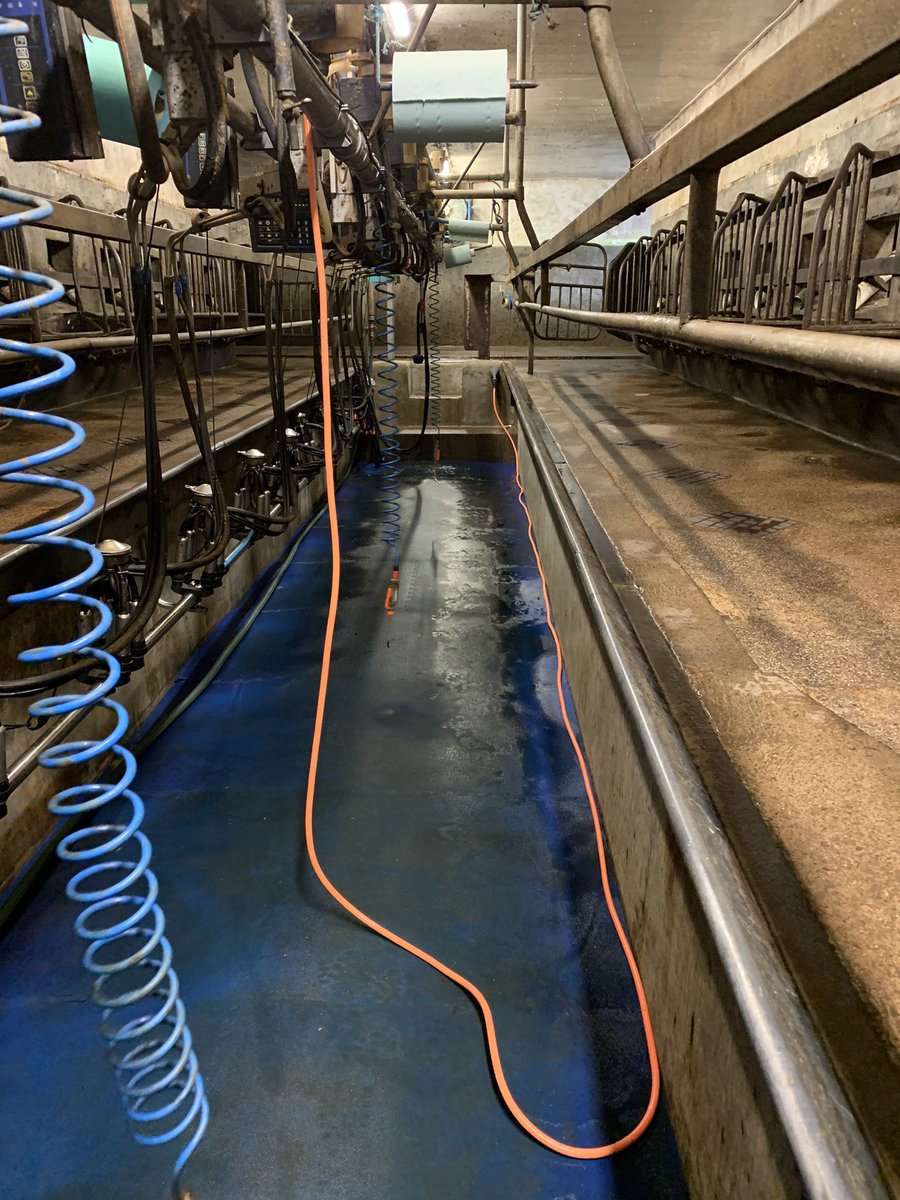 dunglinsons's tweet photo. Another #futurecow teat scrubber installed and commissioned for milking time. Ask for details. https://t.co/c72jjuU8yW