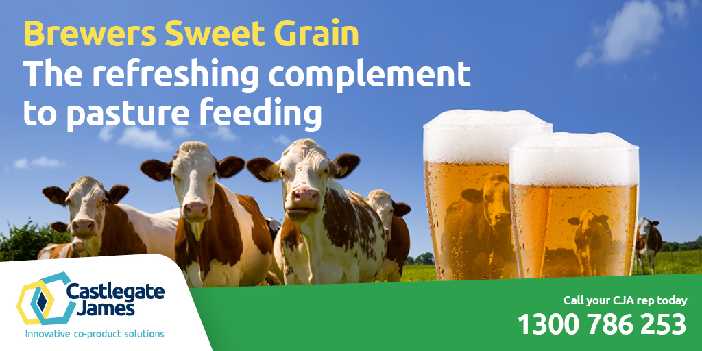 COMPLEMENT YOUR PASTURE FEEDING. Read why it’s important compliment your livestock pasture feeding with a protein rich ration like Brewers Sweet Grain castlegatejames.com.au/news/why-feed-… Place a BSG order today: 1300 786 253 #Beef #Dairy #Protein #SupplementaryFeeding