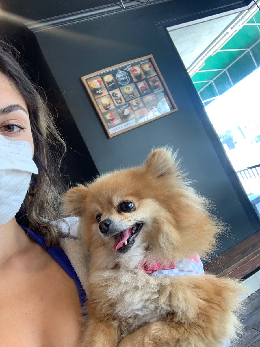 heyyydelilah's tweet photo. My dogs got out about an hour ago. They could be anywhere between lark Ellen and Azusa . Close to the West Covina high school area, or more specifically E francisquito ave, help me find my babies 🥺, the one on the left is Paris, and the other is princess . https://t.co/BP0lF7YPVv