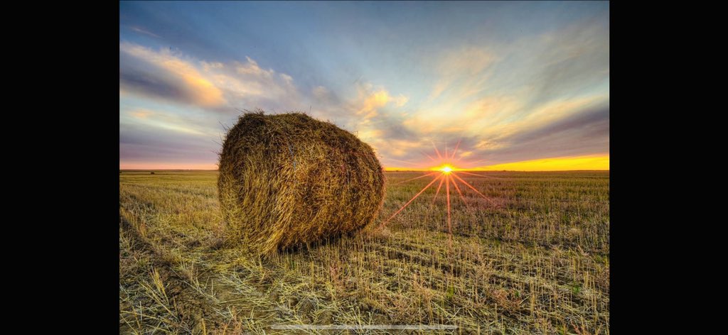 Connect OnFarm tweet media