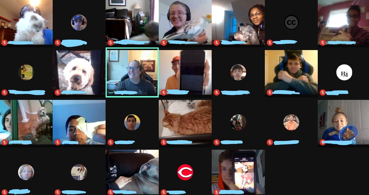 MathAndJustice's tweet image. Kitties, puppies, and fish, oh my! We had a Pet Day today in class! I got to see cats, dogs, fish, lizards, and a pet rock! #oneccps #BeTheU #highschool #mathclass