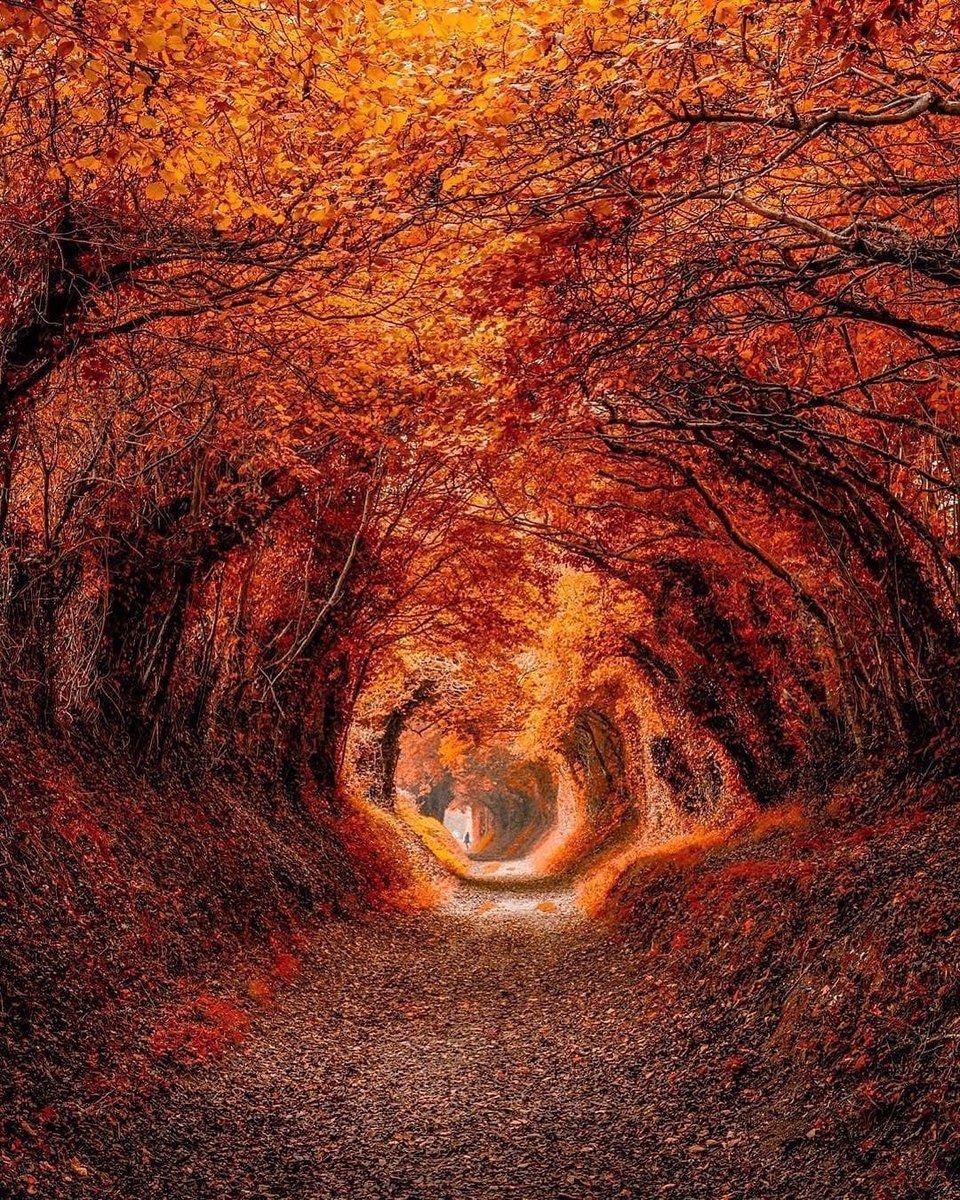 ÁŇǤ€Ł ₣ÁŁŁ  tweet media