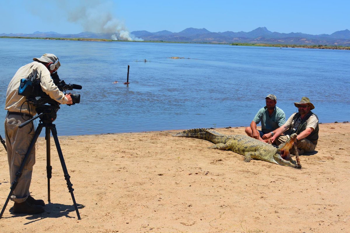 OutdoorsmanINT's tweet photo. Mozambique Crocodile Safari🇲🇿

#africa #Mozambique #crocodile #hunt #hunting #safari #adventure #reptiles #hunt #camera https://t.co/BJEX9PiS85