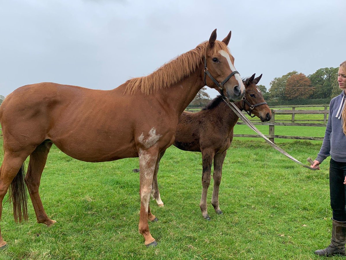 martynrchap's tweet image. Ms Parfois and her son by Getaway. #MsParfois