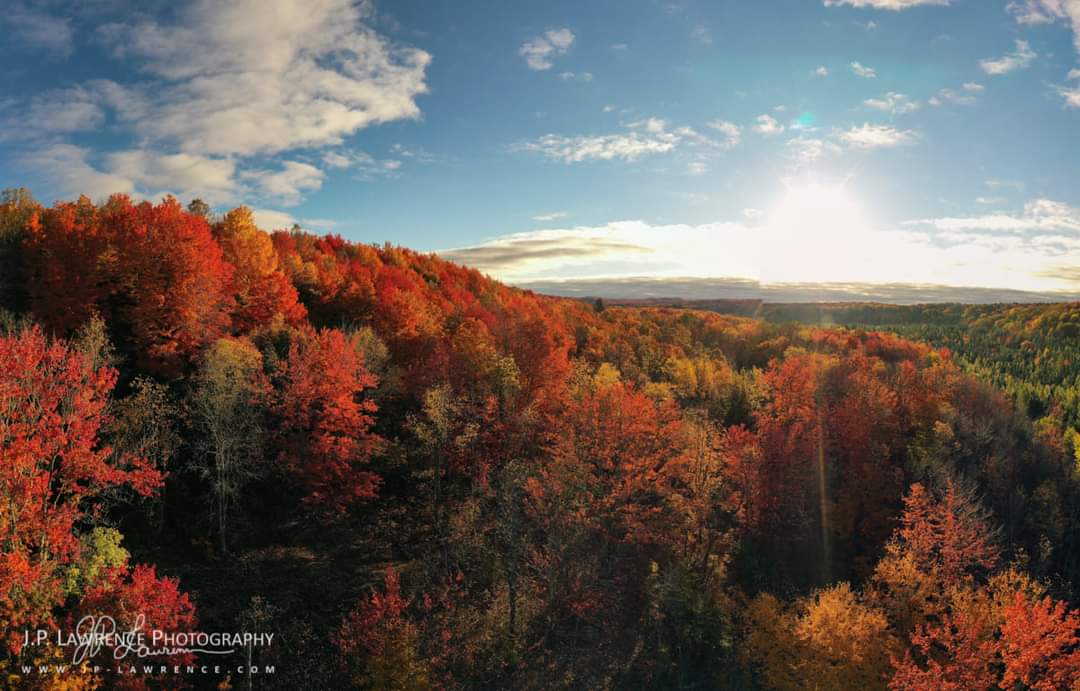 JPLawrencePhoto's tweet photo. Managed to get out this weekend to hike 18.7 miles of the Jordan River Pathway in #Michigan for #FallColors. Unfortunately, the ultralight status I would have gotten from the @Tarptent #NotchLi was ruined by carrying camera equipment, including my @DJIGlobal #Mavic2Pro. Worth it. https://t.co/KUTN7APkY1