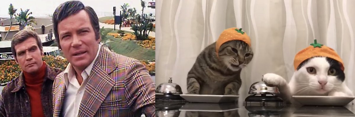 Mark Jeffrey tweet media