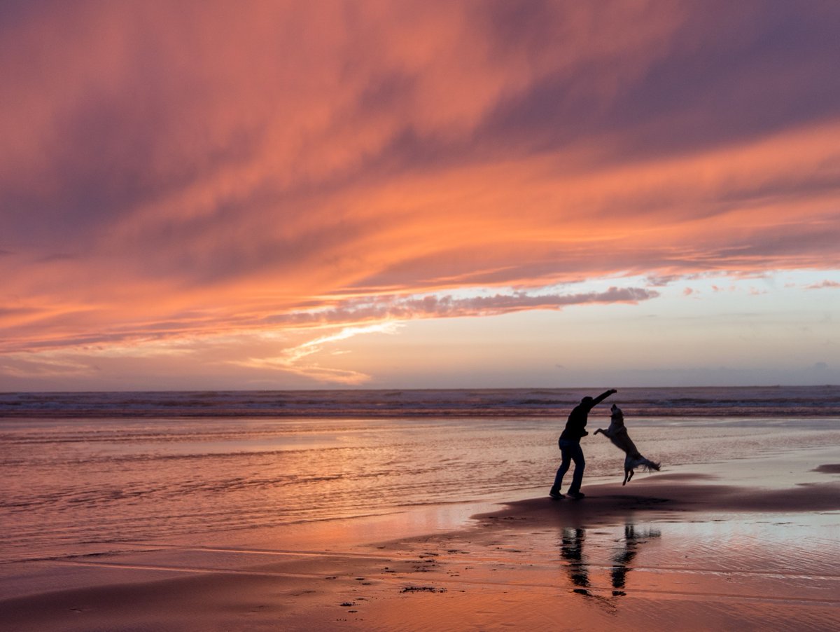 MontereyTides's tweet photo. Come escape to #MontereyTides with your furry best friend for some beach therapy! #PetFriendly 🐶🏖️ Book your stay now: https://t.co/2Fjf6VoFd5 https://t.co/rA1A098oz0
