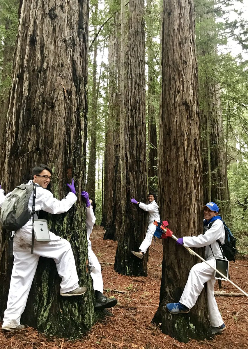 JoshuaBMayo's tweet image. Happy #IndigenousPeoplesDay !! Today and every day I am #IndigenousInSTEM, and proud of it.