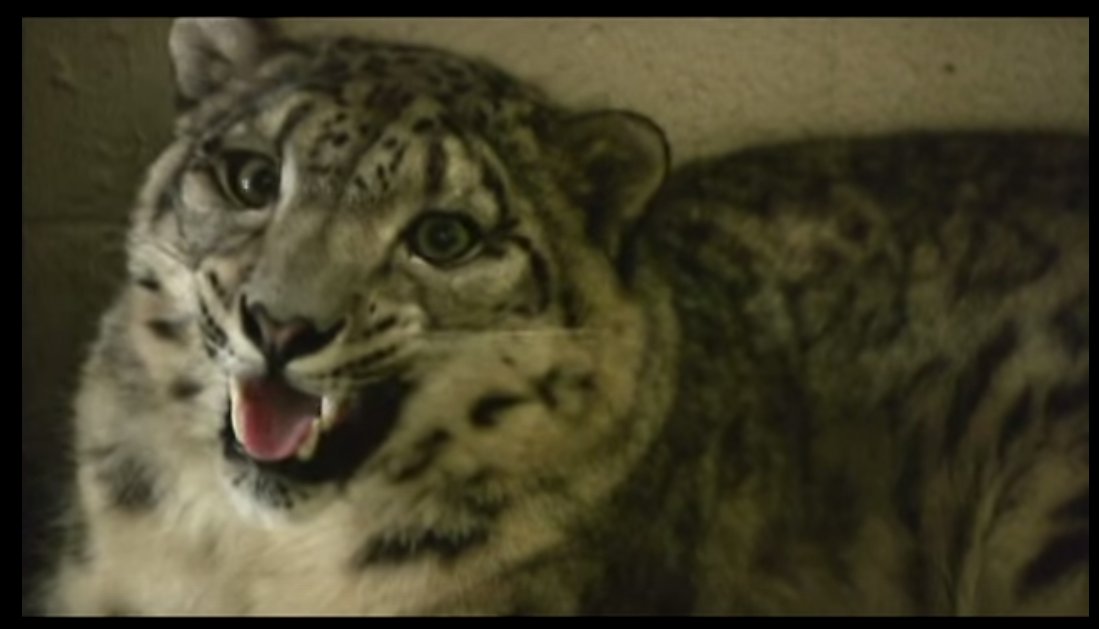 SnepBot's tweet image. ABLE