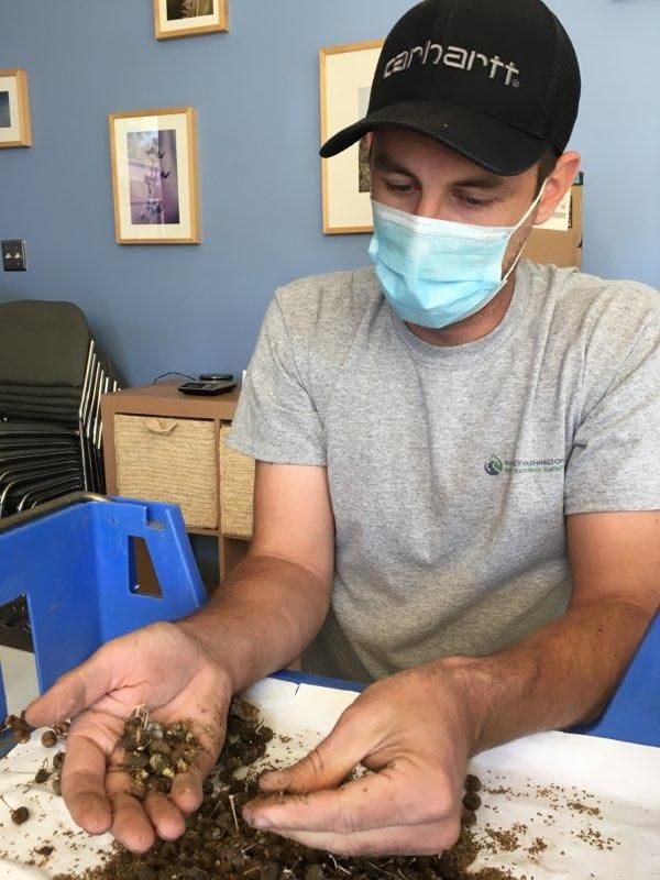 RWMWD's tweet photo. Seed saving work continues at RWMWD. Natural Resources staff and interns have been finishing the next step of cleaning and sorting seeds harvested from restoration sites before they are stored for the winter. #rwmwd #nativeplants #twincities https://t.co/Q8tOuGYcbo