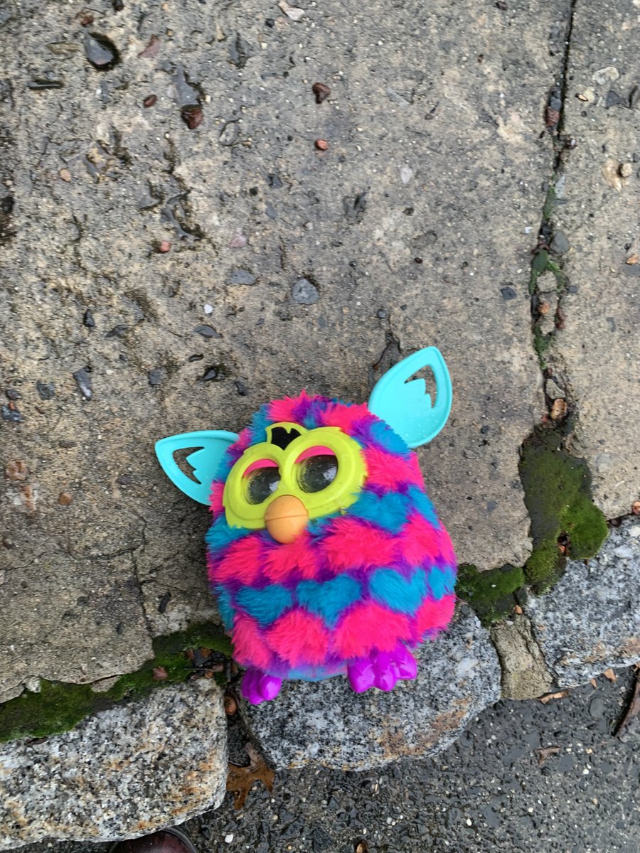 Modern_Spinster's tweet photo. OMG I was reversing in my office's parking lot today and hit something small...I looked and saw this #FURBY?!? It sustained no damage. They are still selling these things to innocent children?! Is this a #talkingtina situation?!?! #spooky #HappyHalloween2020 https://t.co/EBC77Pjpd5